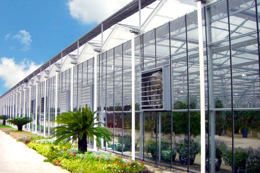 Greenhouses Not Just for Growing Plants Anymore