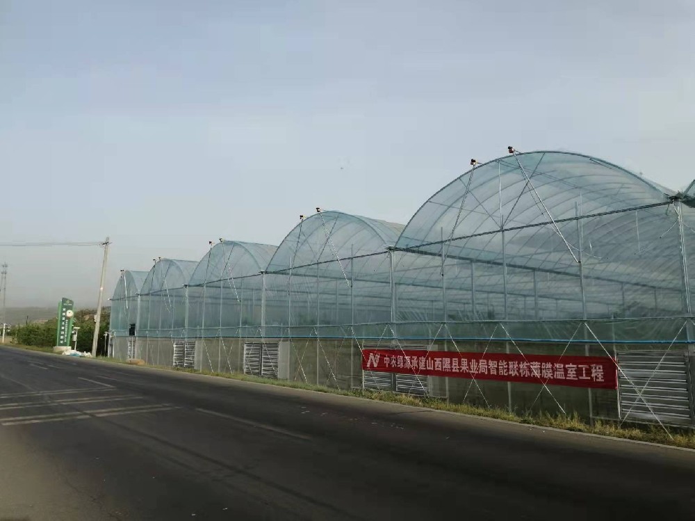 Xixian Fruit Bureau Pear Intelligent Multi-span Film Greenhouse Project