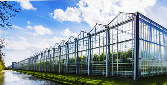 SMART GREENHOUSE