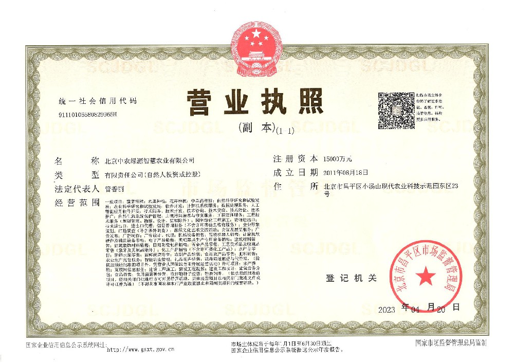 Business License