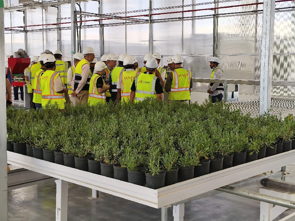King Salman Park Intelligent Greenhouse Over Two Years of Stable Operation Ensured by CGA
