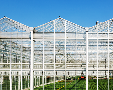 GREENHOUSE SYSTEM CONSTRUCTION PLAN